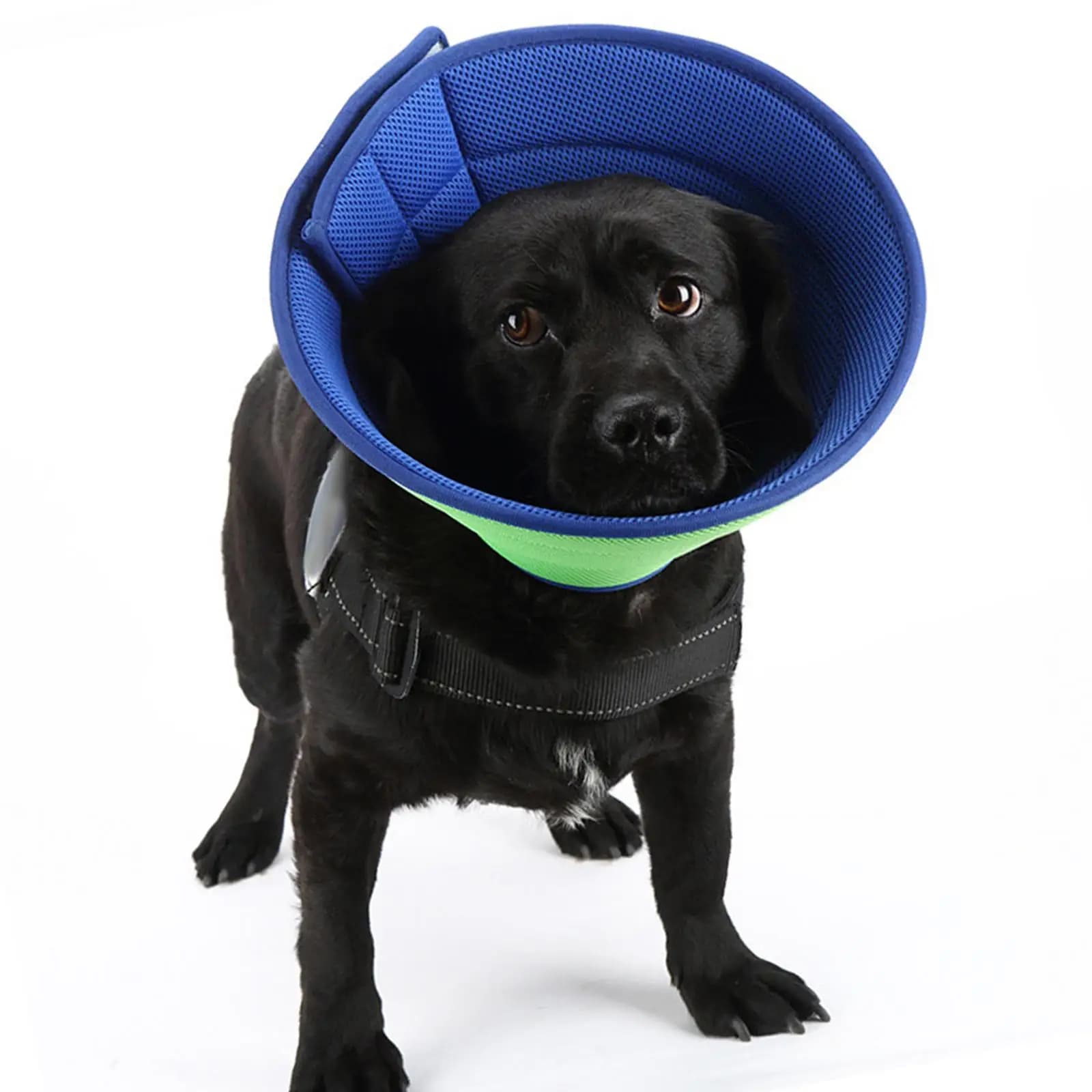 Pet Recovery Soft Dog Cat Cone Adjustable Comfort Collar Prevent Biting Licking Scratching for Post Surgery Healing