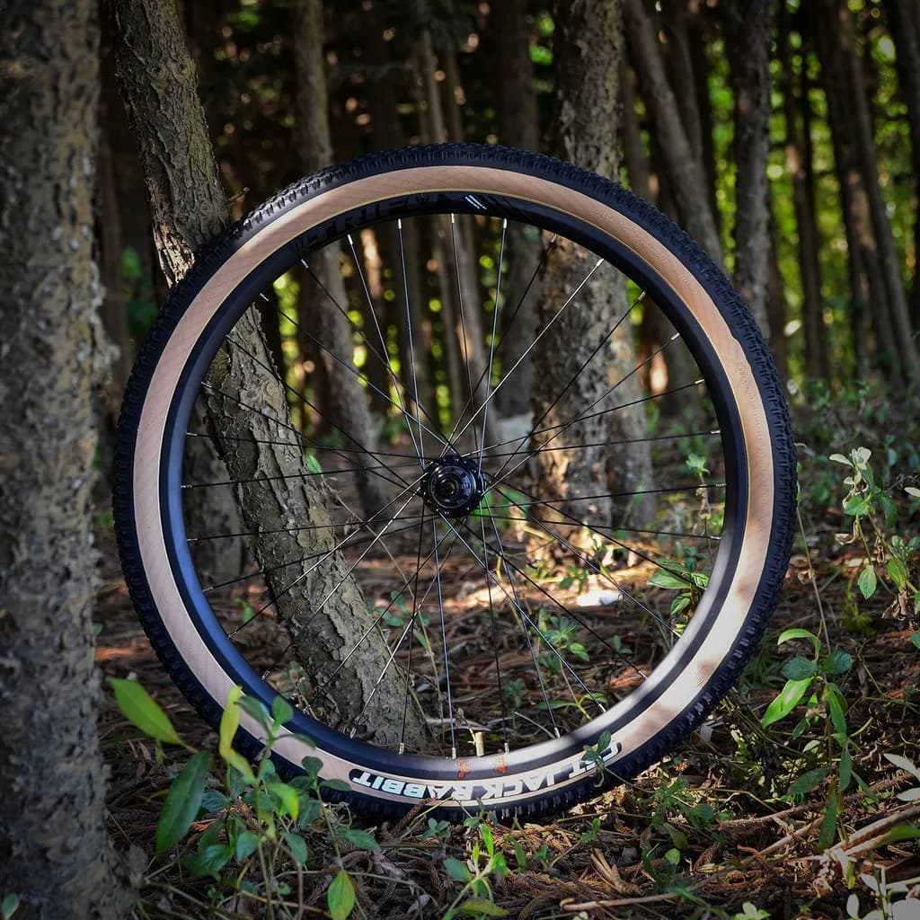 Set Ruote MTB 29 Pollici A/V Enduro DH, Cerchio Largo 25mm, Mozzo Boost 148, Perno Passante 142, QR 135, 6 Perni, Ruota Bici con Raggi TRIFOX