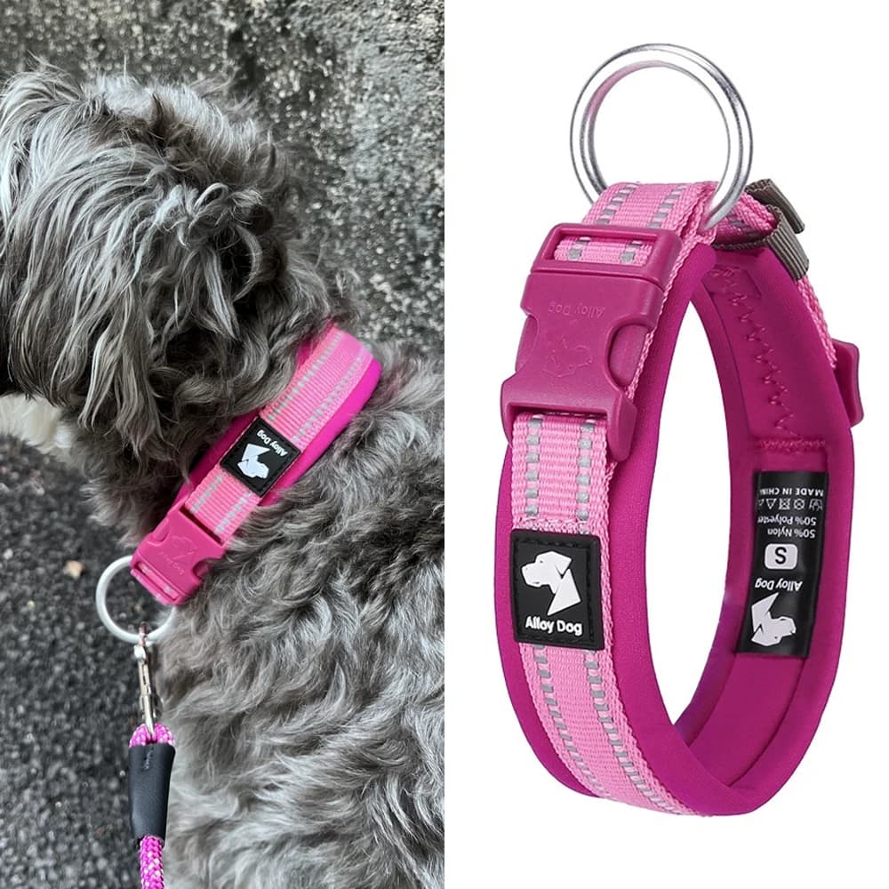 Collare per Cani di Piccola e Grande Taglia, Leggero e Traspirante, Anti-Strozzamento, Set Collare e Guinzaglio di Sicurezza Anti-Fuga per Cuccioli