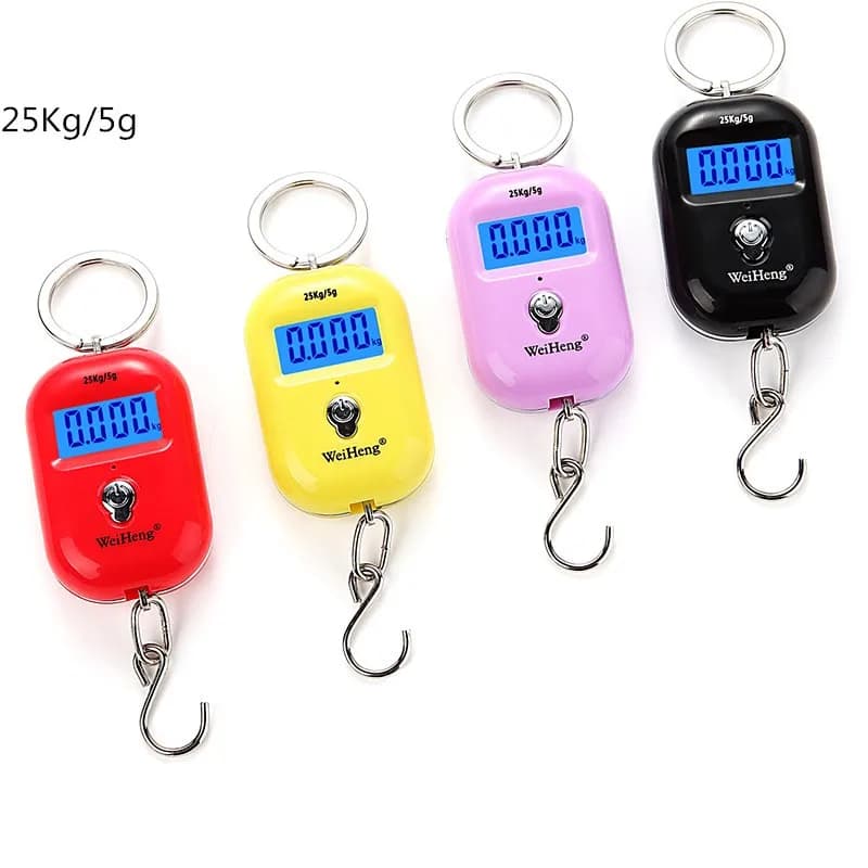 Bilancia portatile da 25 kg 5 g Bilancia digitale Pesi da pesca elettronici Bilancia da cucina tascabile Retroilluminazione Mini bilancia da viaggio per bagagli