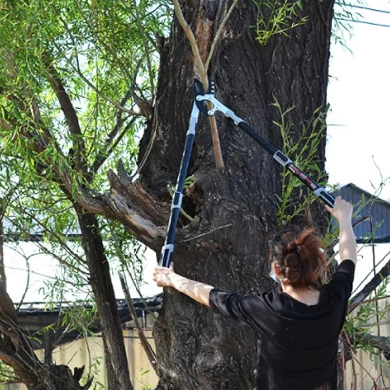 High carbon steel, long garden branches, industrial-grade Japanese telescopic shears