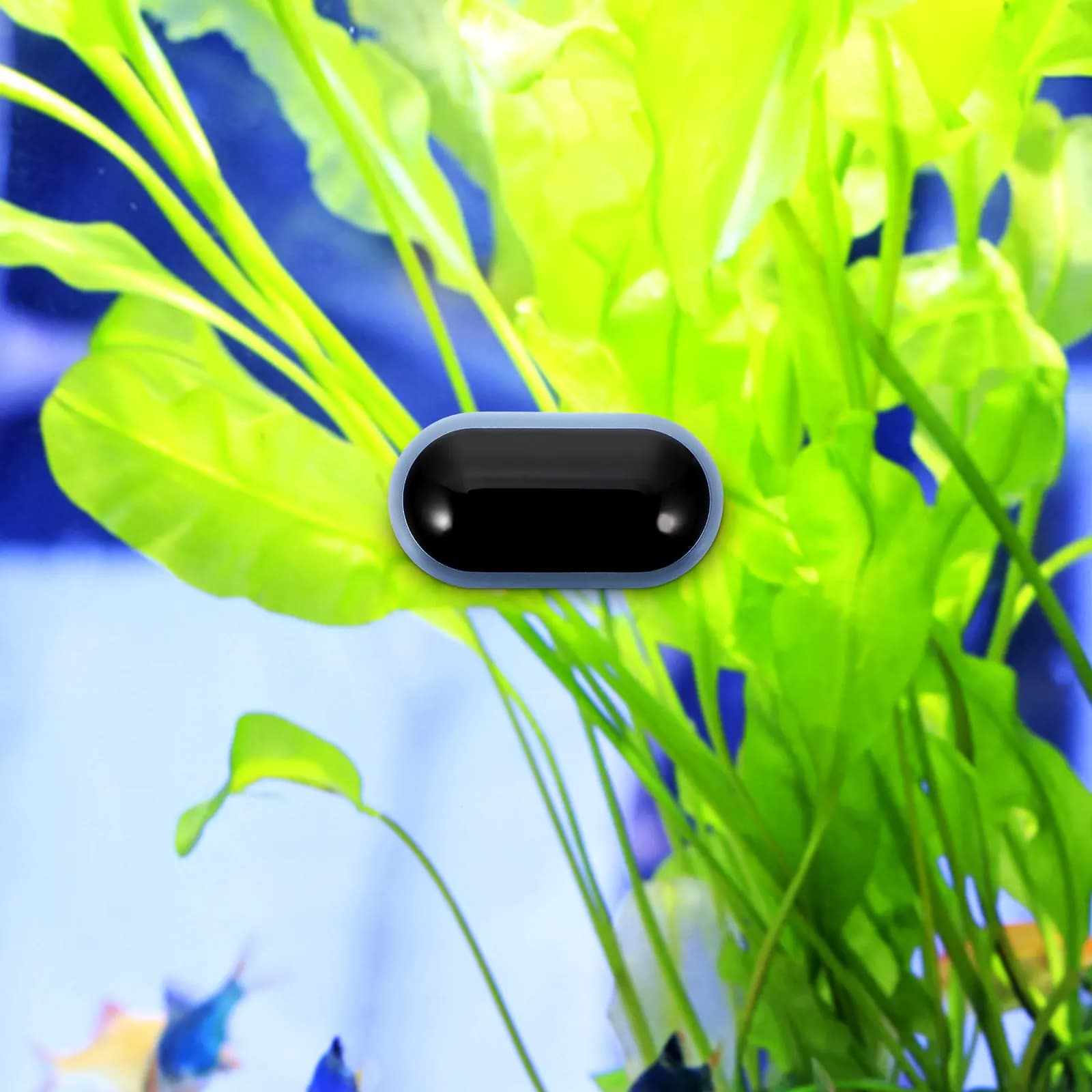 Termometro digitale per acquario con ampio display LED, bordi arrotondati sicuri, supporto impermeabile riutilizzabile per la temperatura dell'acqua del acquario