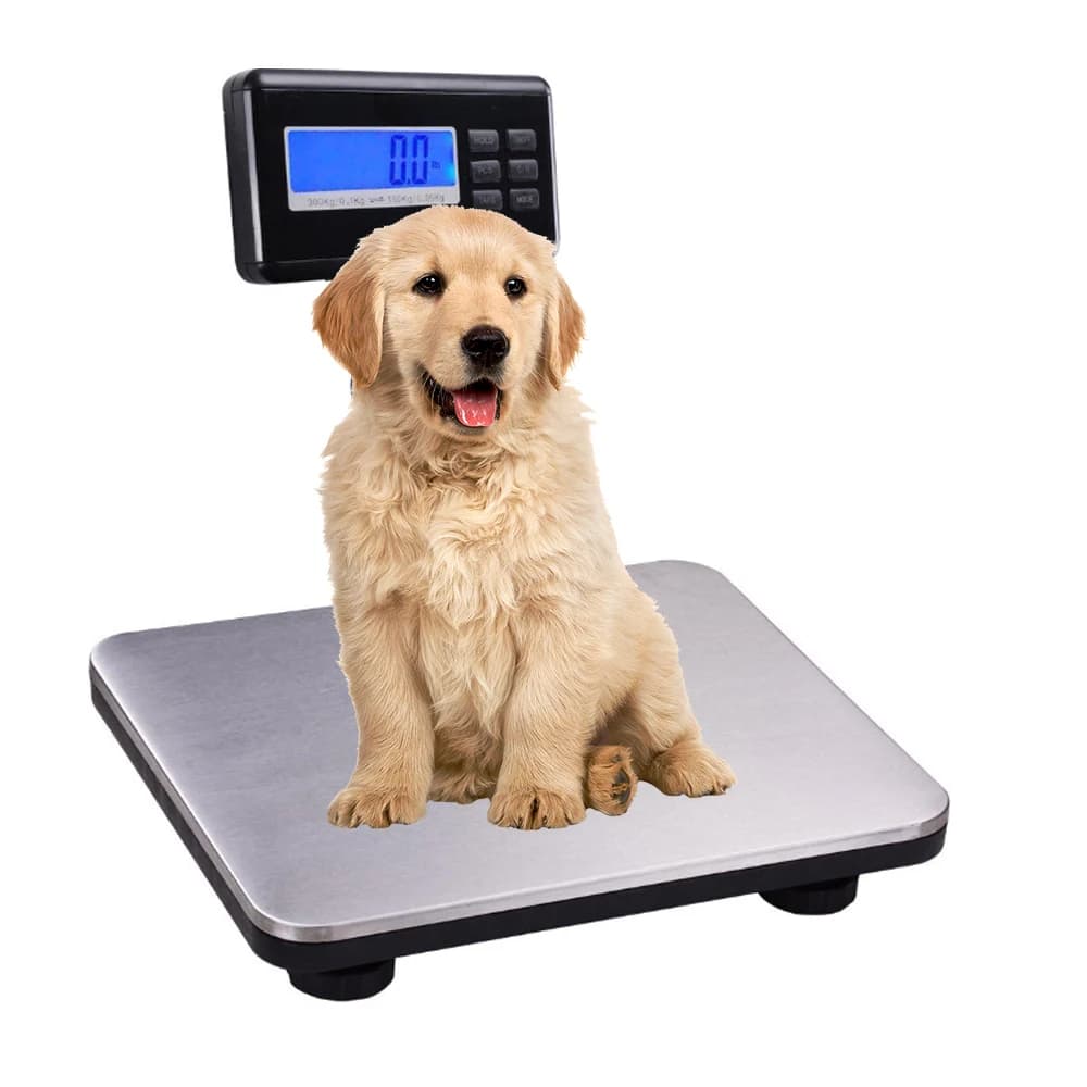 Portable 200kg Electronic Parcel Luggage Scale Stainless Steel Platform Digital Shipping City Multifunctional Pet Post Scale