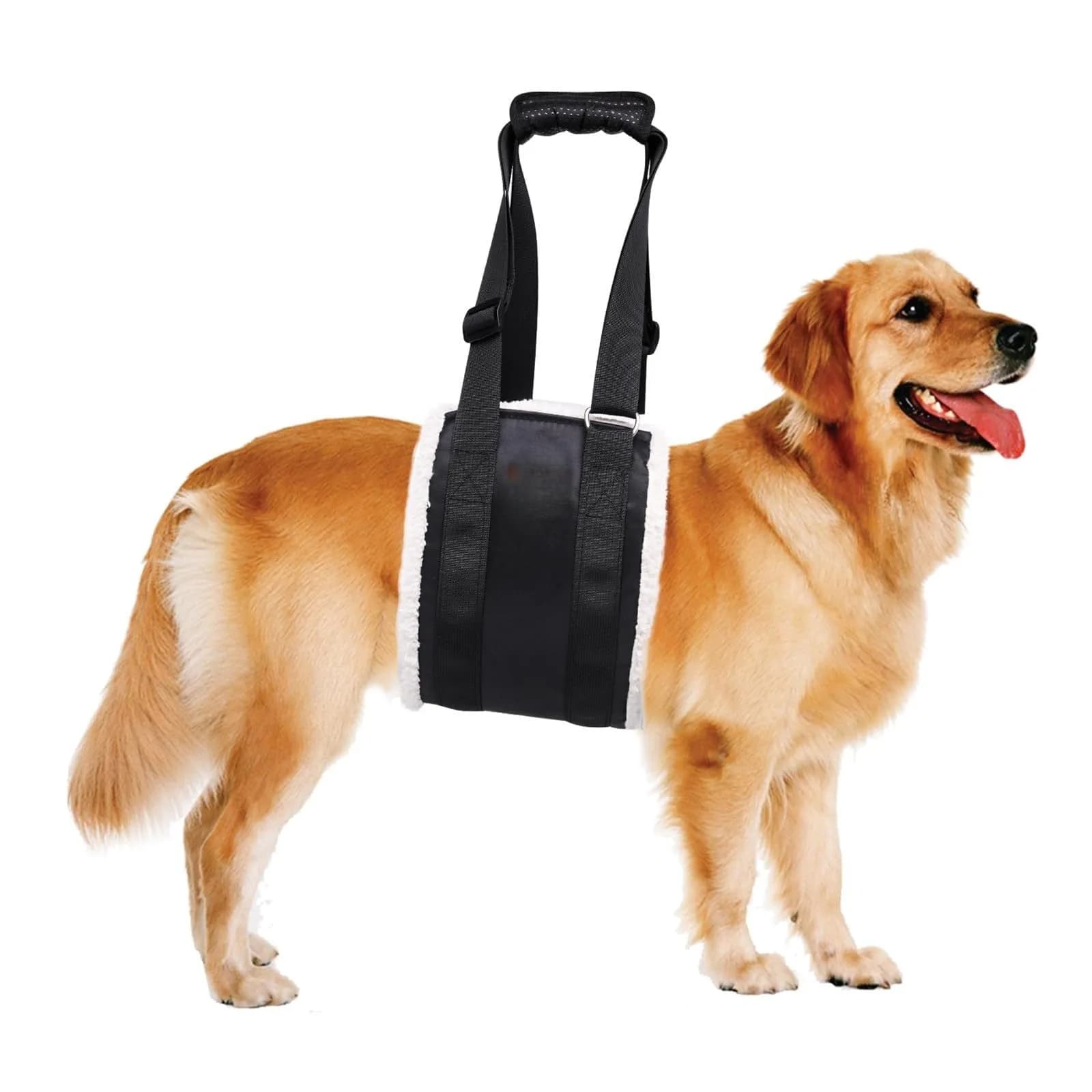 Imbracatura di Sollevamento per Cani Regolabile, Supporto per Zampe Posteriori, Imbracatura Riabilitativa per Cani Anziani con Zampe Posteriori Deboli