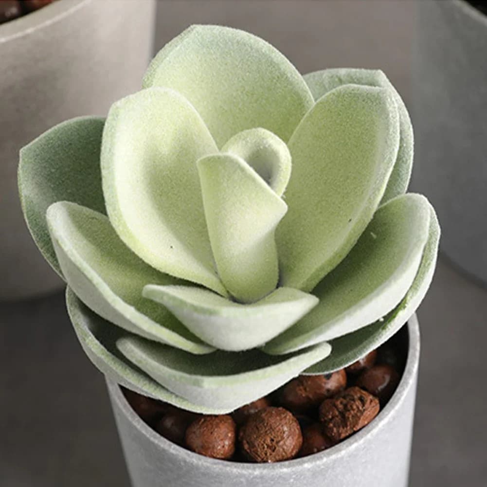 Tabletop Decor Faux Succulent Plant Flocked Succulent Artificial Succulent Plant Decor Realistic Flocked Design