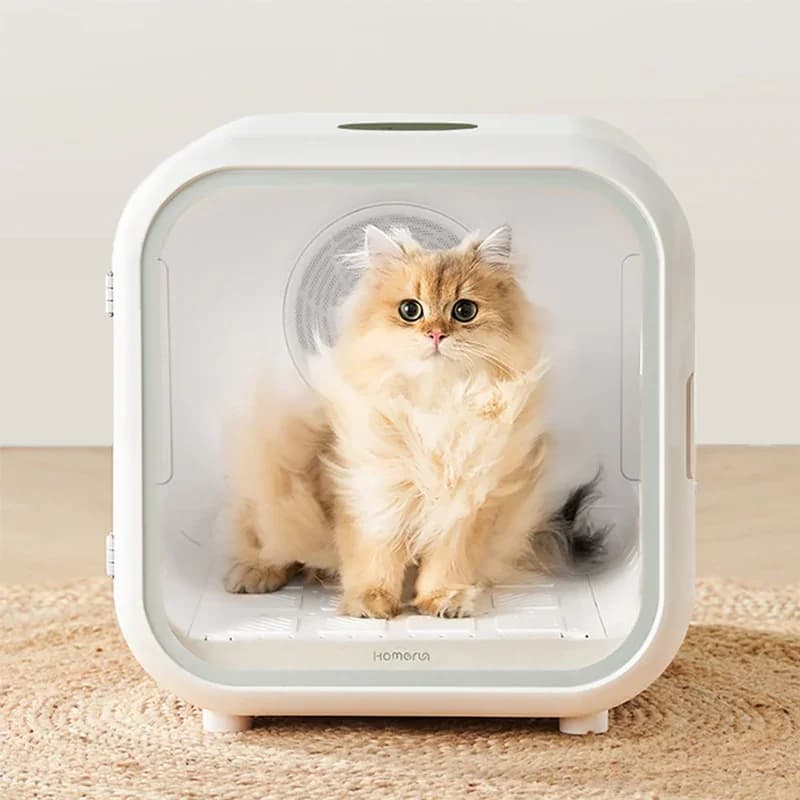 Smart Automatic Pet Drying Box Fan for Cat Drying Hairdryer For Dog Water