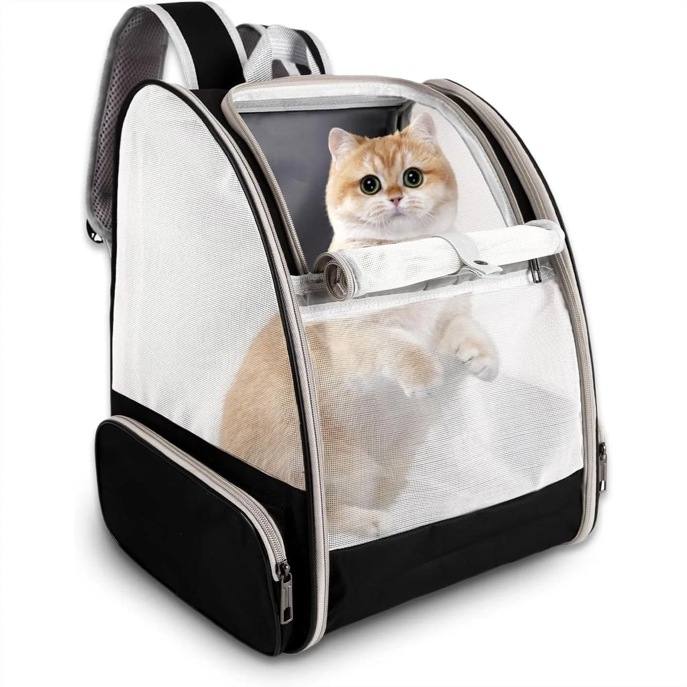 Cat Backpack Carrier with Ventilated Mesh for Small Dogs Cats Puppies Hiking Camping Travel Bag Black