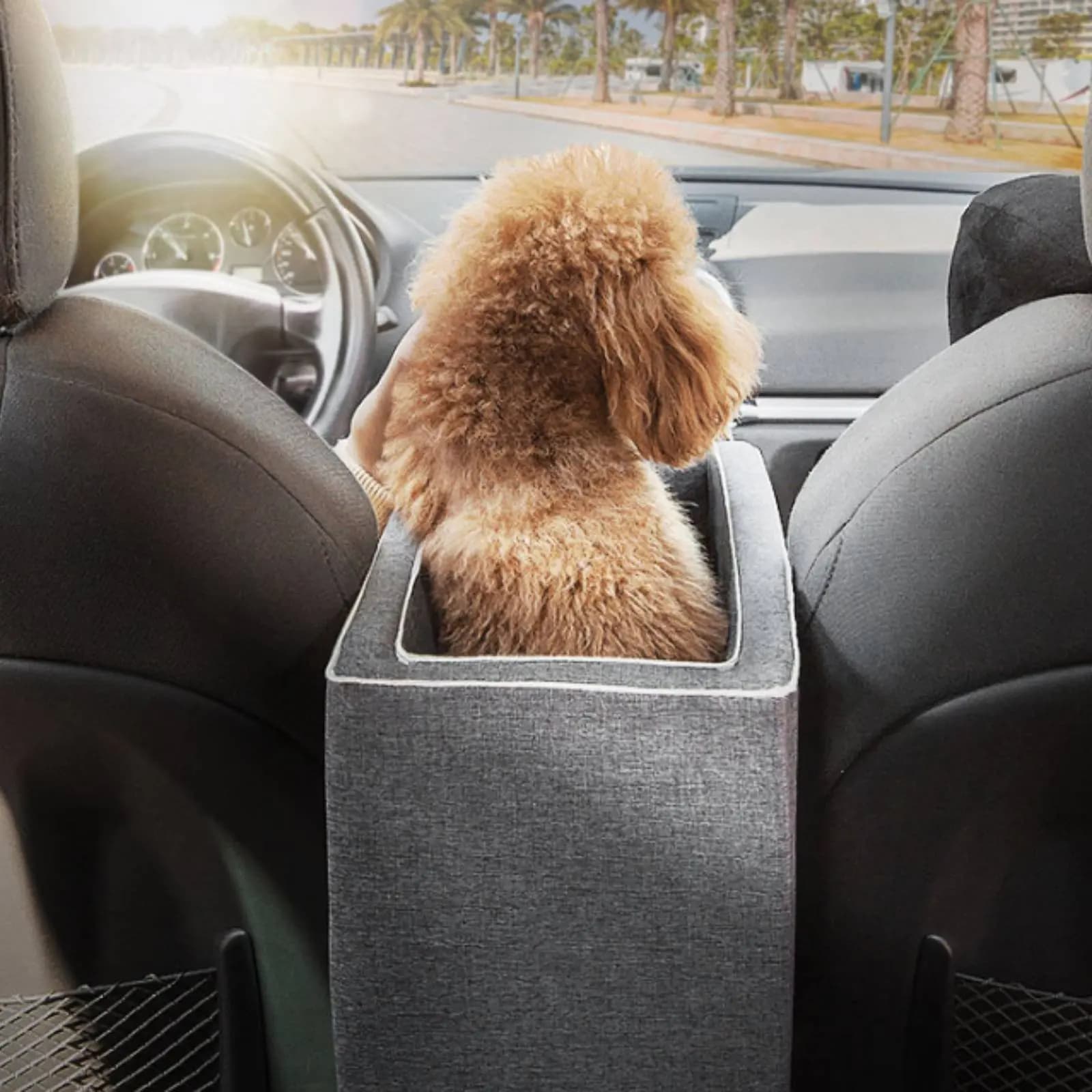 Trasportino per Animali Domestici Portatile con Cerniere Bloccabili per Viaggi