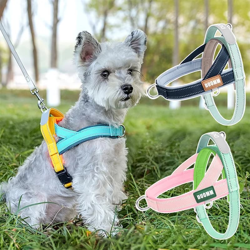 Pettorina per cani primavera/estate con guinzaglio, cintura pettorale riflettente, anti-trazione, anti-soffocamento, gilet protettivo per cani