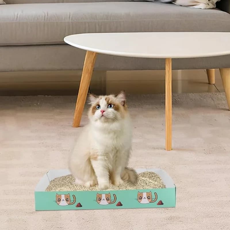 Scatole per lettiere usa e getta da 5/10 pezzi, servizi igienici pieghevoli per gatti, vassoi per lettiere portatili e prodotti per la pulizia dei gatti da viaggio all'aperto