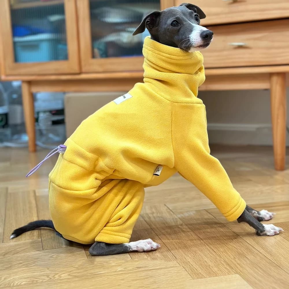 Caldo maglione in pile giallo per Italia levriero morbido felpa a collo alto a 4 gambe cappotto invernale antivento per caniche Teddy Mid Dog