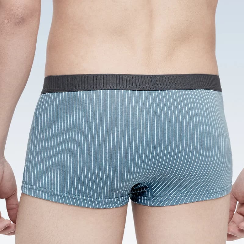 Men's antibacterial underwear autumn and winter boxer shorts head boys' boxer shorts mid-waist large size men's underpants