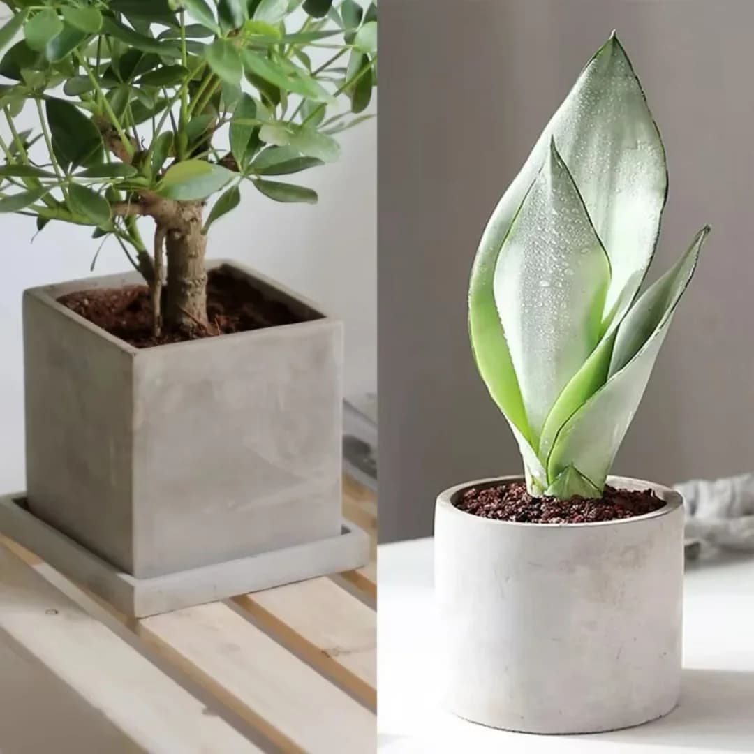 Stampo in Silicone per Vaso di Cemento Rotondo da 15cm, Stampo per Vaso Quadrato in Argilla per Piante Succulente, Scatola Portaoggetti in Gesso