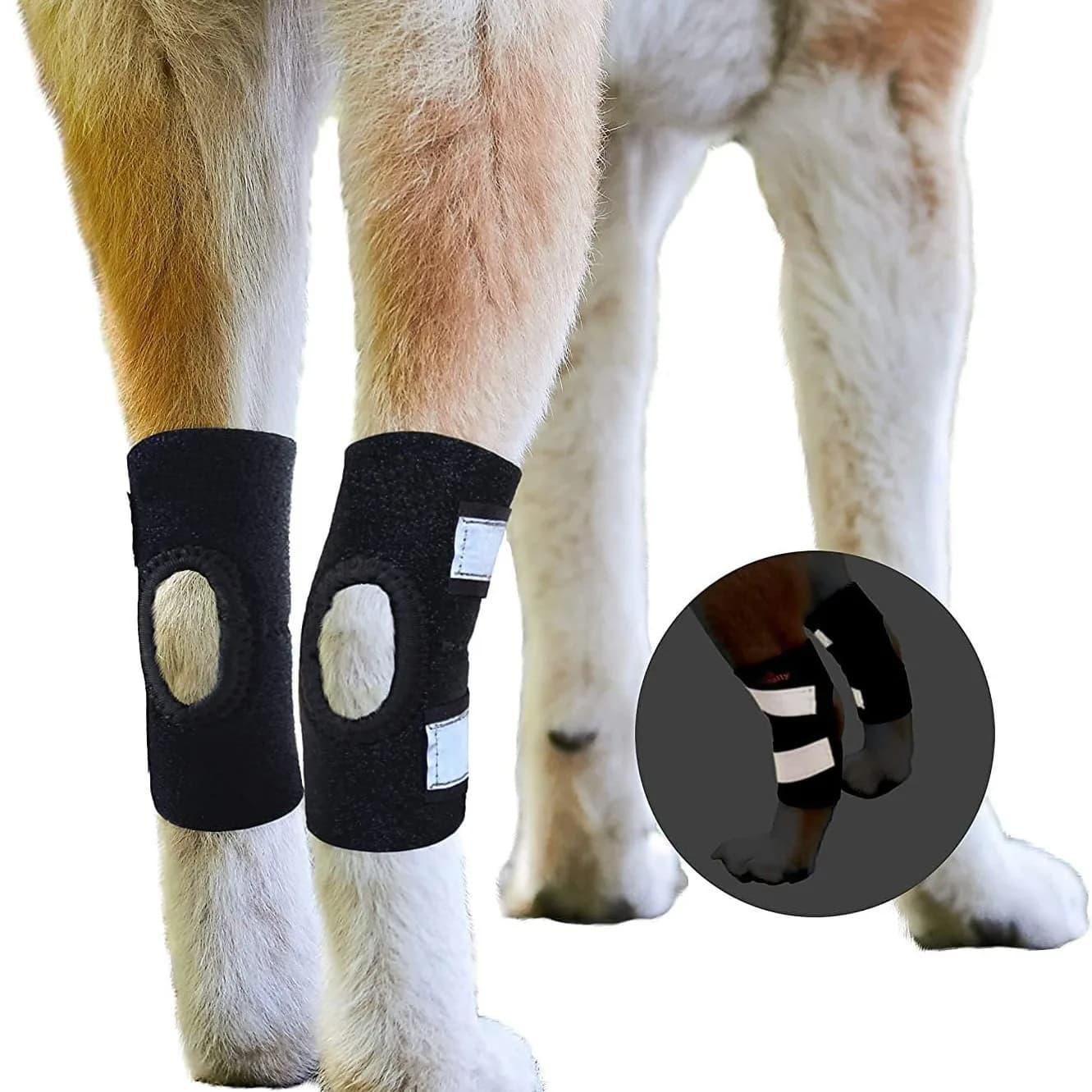 Ginocchiere per cani Recupero da infortuni Supporto fisso Tutore Protezione per animali domestici Sollievo dal dolore Piedi Copertura Supporto per avvolgimento articolare della gamba Recupera per animali domestici