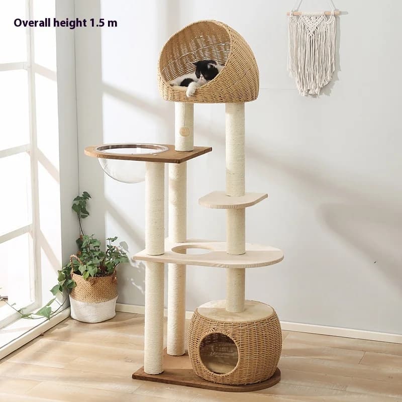 Moderno Tiragraffi per Gatti a 4 Livelli Eco-Friendly con Confezione in Cartone per Uso Interno ed Esterno