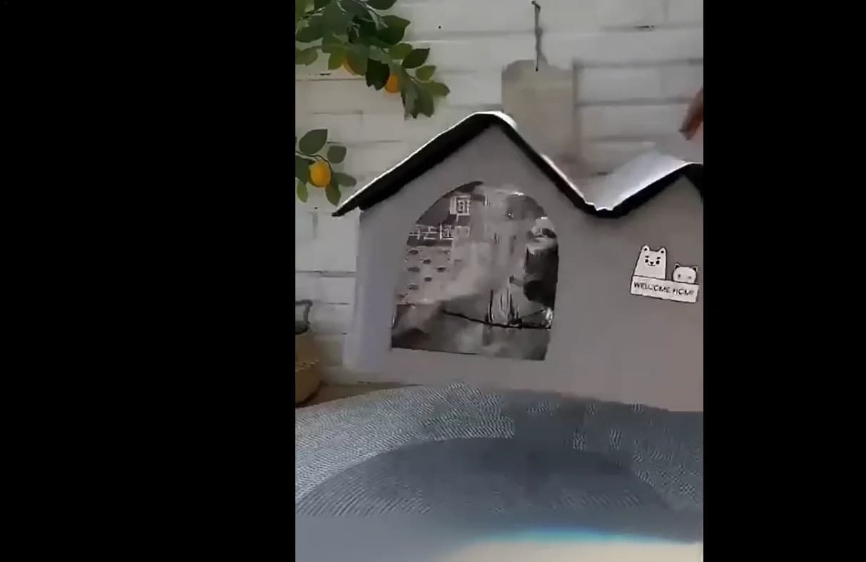 Casetta di ghiaccio per cani e gatti Aria condizionata Casa LED Strumento di raffreddamento estivo Nido Cani Gatti Casetta di ghiaccio per animali domestici con 10 impacchi di ghiaccio Raffreddamento