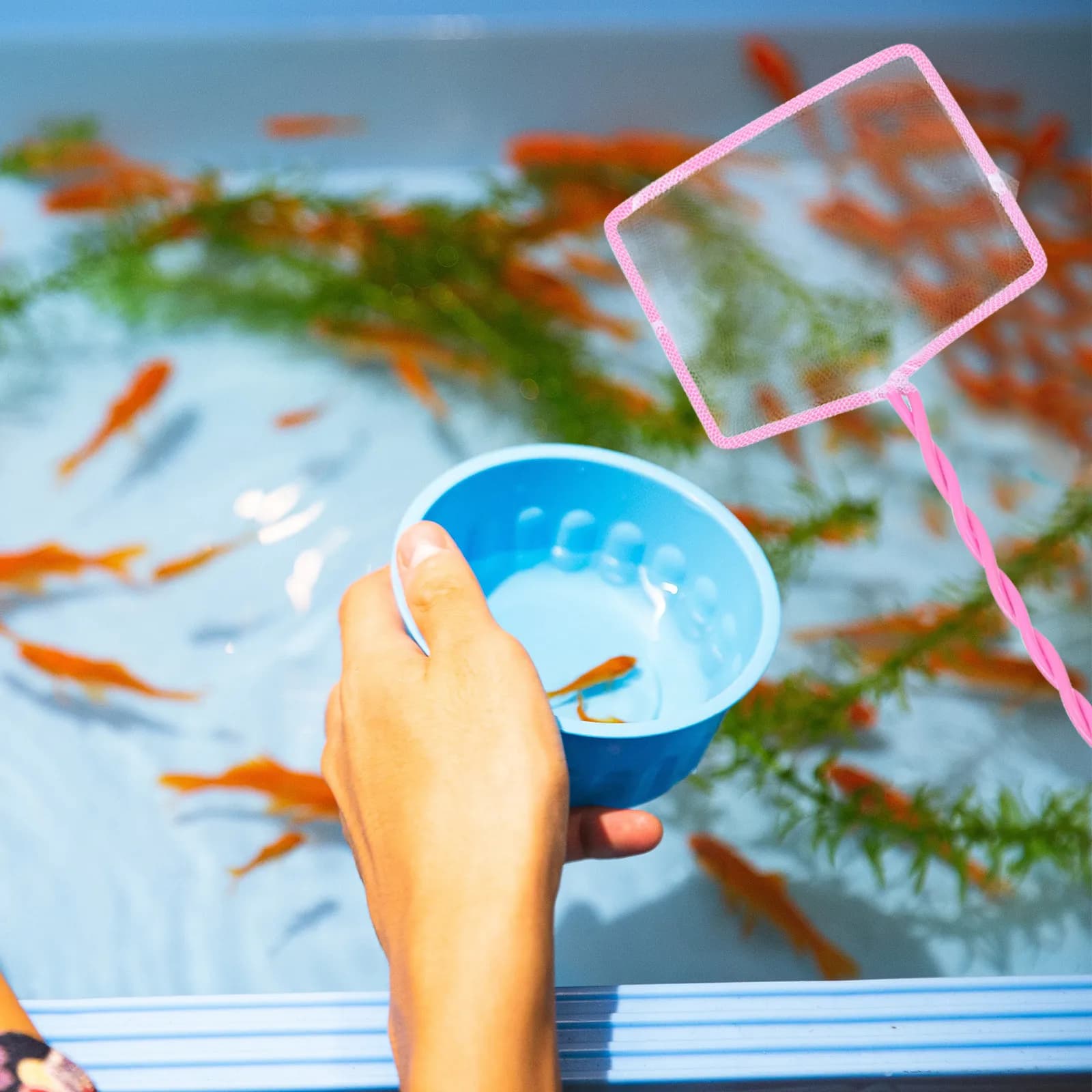 Set di 4 Reti da Pesca in Rete Morbida per Pesci Delicati, Guppy, Gamberetti, Pesciolini, Acquario, Laghetto, Fiume, Lago