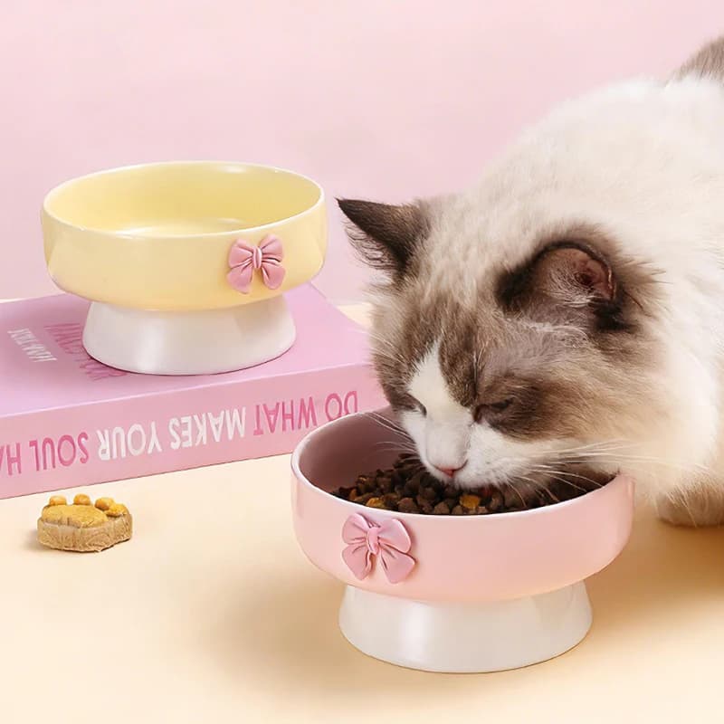 Cute Ceramic Elevated Cat Bowl Protects Cervical Spine Feeder Drinker For Cats Puppy Dog Water Food Bowl Porcelain Pet Supplies