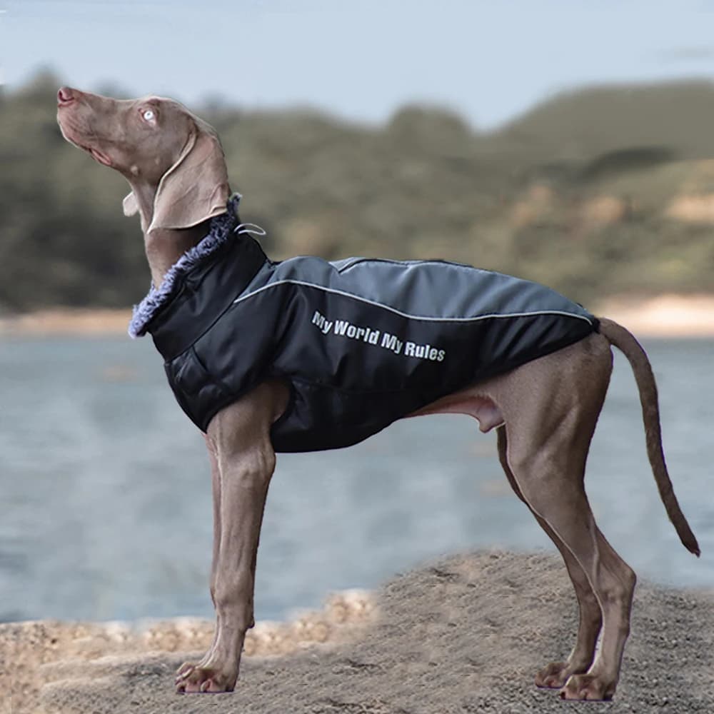 Madden Winter XL-6XL Abbigliamento per cani di grandi dimensioni Giacca impermeabile per cani di grandi dimensioni con collo alto Abbigliamento caldo per cani da compagnia