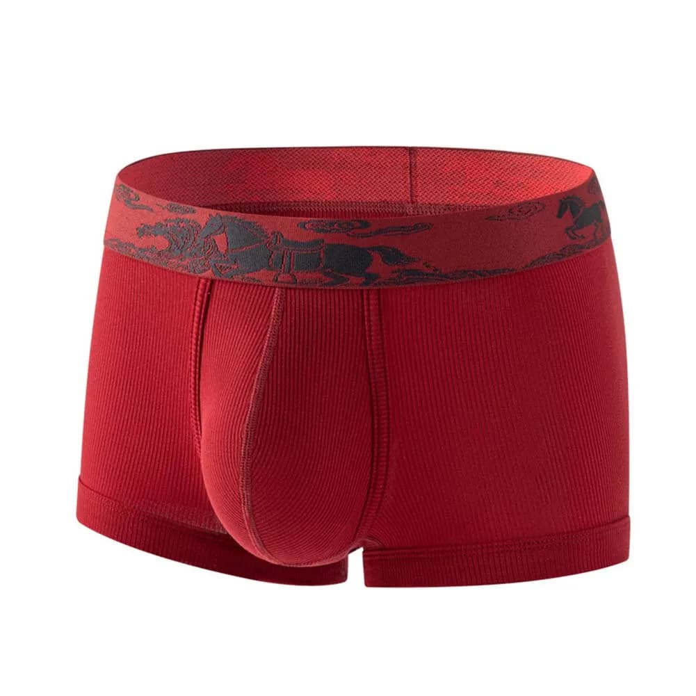 Slip Boxer Uomo 2026 in Lyocell Morbido, Senza Cuciture, con Sacchetto a U, Lingerie Hot Bikini, Traspirante, Elastico, Classico