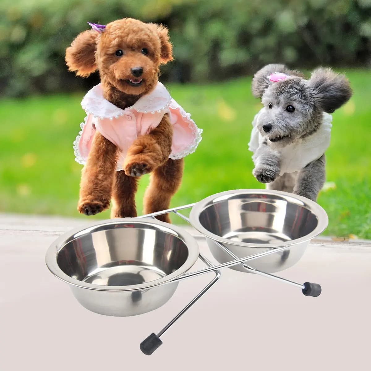 Ciotola Doppia Grande in Acciaio Inox per Animali Domestici con Supporto Antiscivolo in Ferro, Ciotole per Cibo e Acqua per Cani e Gatti