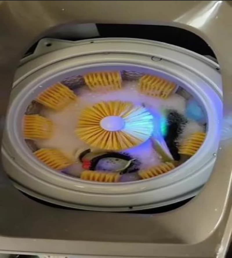 Lavatrice per scarpe semiautomatica 220V Lavatrice compatta per uso domestico per scarpe, calzini, biancheria intima DS