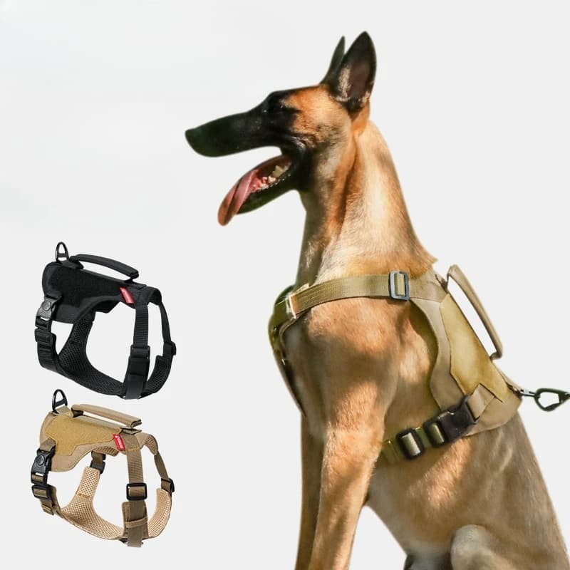 Escape-Proof Dog Harness Set Breathable Lightweight Pet Chest Strap with Folded Edge Design Walking Gear for Large Rottweilers
