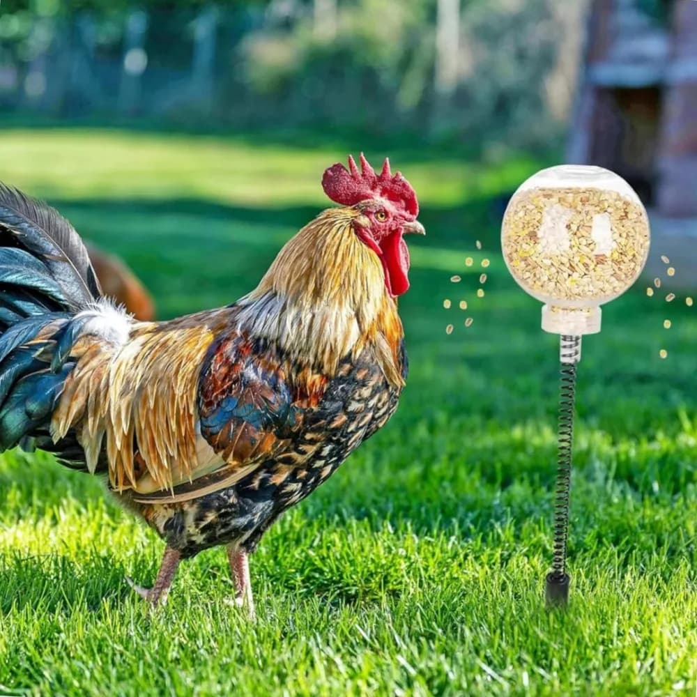 2 pcs Automatic Chicken Pecking Toys Lose Ball Eaters with Molle Paletti A Terra for Pollame Anatre Birds Eliminate Noia
