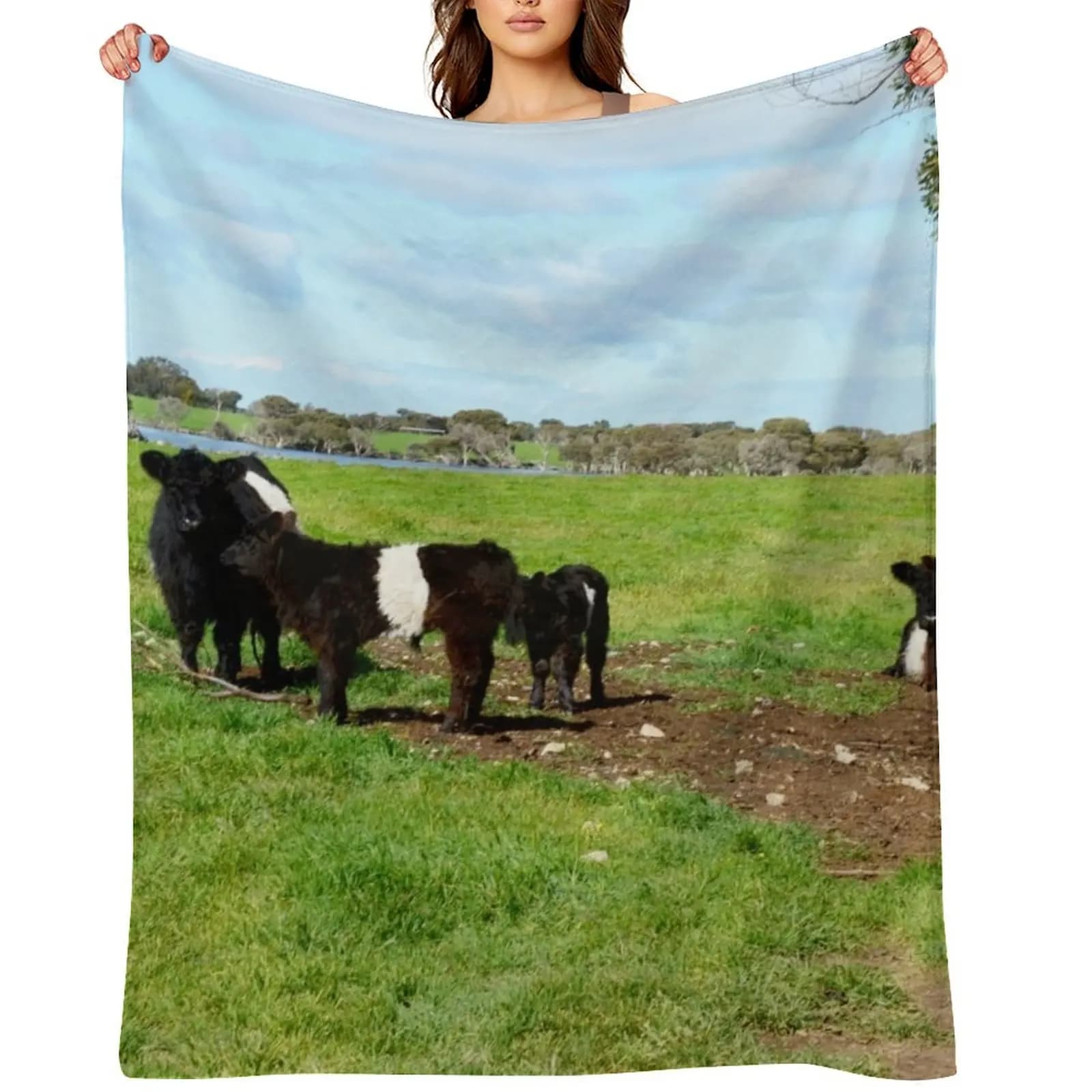 Galloway cows and calves with belt, hairy blanket for decorative sofa, sleeping bag, Scottish blankets
