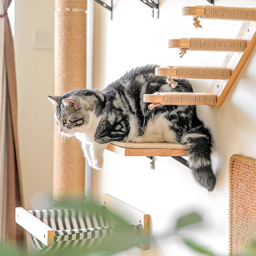 Amaca per gatti a parete Mobili per animali domestici Scala in sisal Graffi in legno naturale Persico per gatti Gattini Arrampicata per gatti Albero per gatti Giocattolo per animali domestici