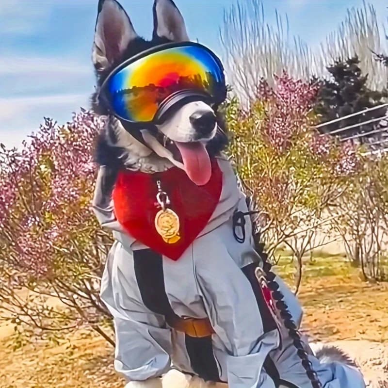 Occhiali da sole per cani con protezione UV da 1 pezzo Occhiali da sci eleganti per razze da piccola a grande montatura resistente con occhiali regolabili per cani da compagnia