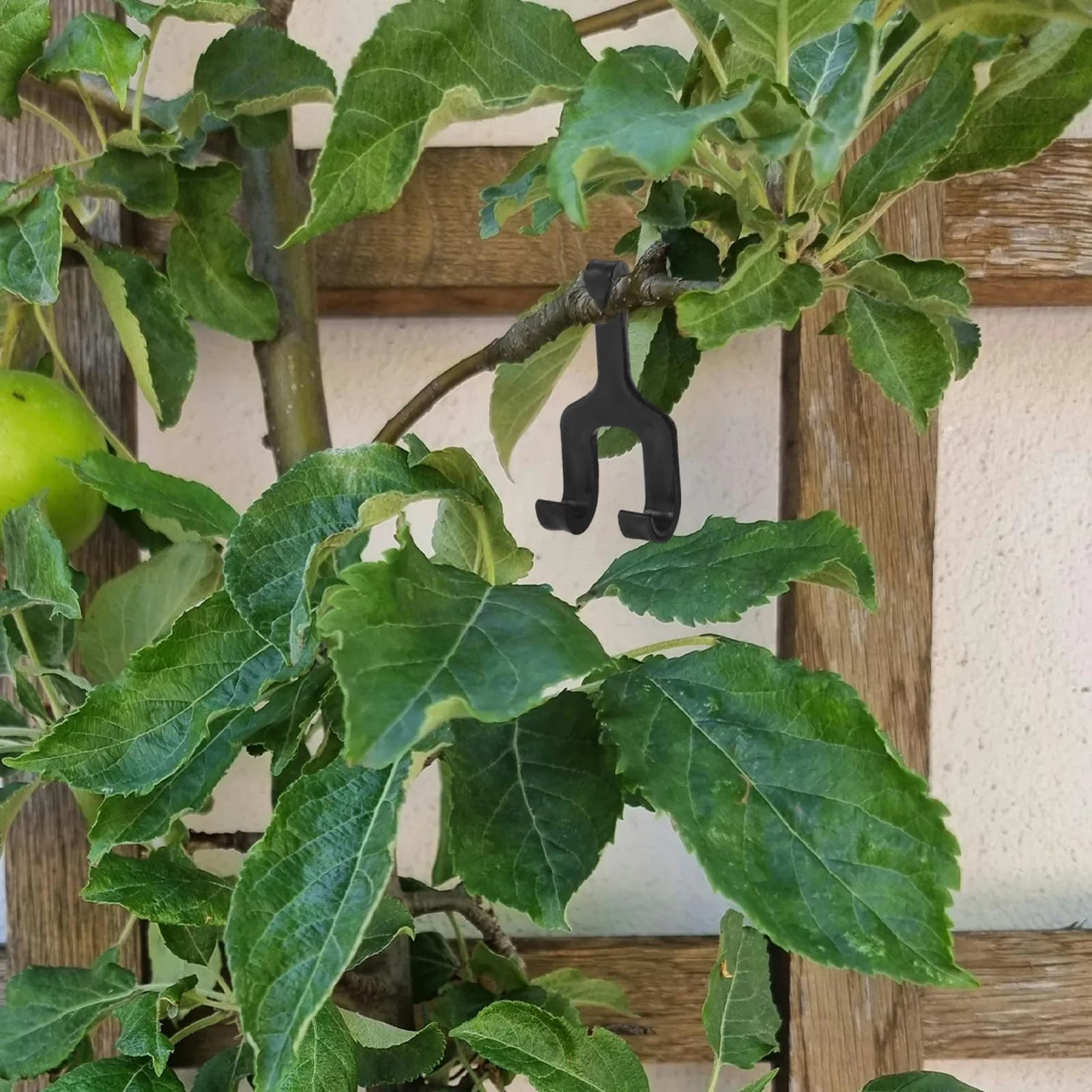 50 Pezzi Ganci di Supporto per Melone, Fungo, Anguria, Zucca, Pomodoro e Piante Rampicanti, per Controllo della Crescita e Traliccio a Muro