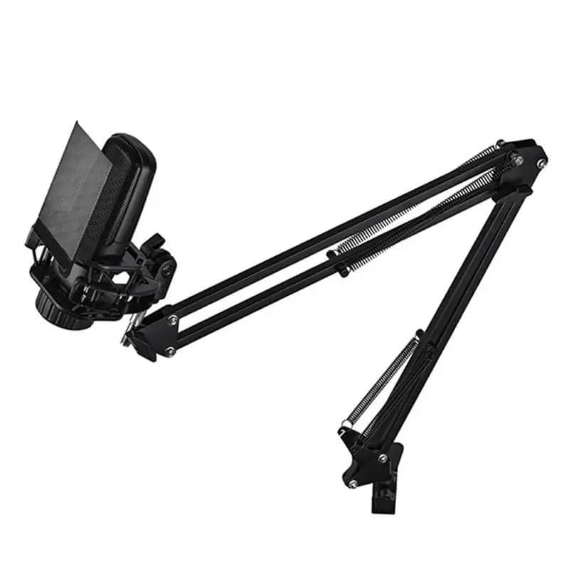 Professional Microphone B29C-ZX85 for studio vocal recordings, karaoke, broadcasts, ASMR, gaming, with arm support B