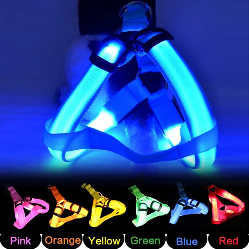 Collare per cani a LED regolabile da 1 pezzo, pettorina luminosa, guinzaglio di sicurezza notturno per cani, accessorio per cani, diverse misure disponibili