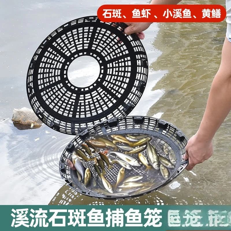 Trappola per rete da pesca in PP per pesce Grouper Stream Whitebait Strumento per la pesca con gabbia per gamberetti