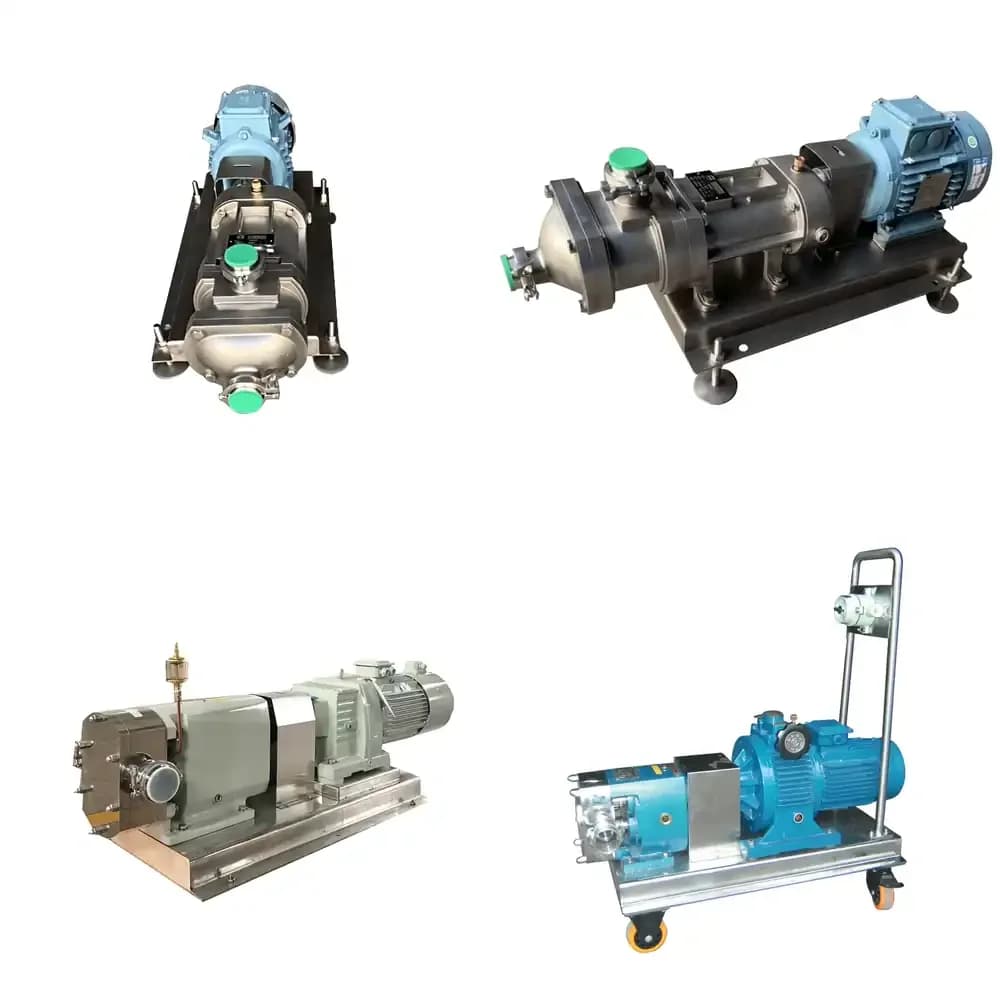 Xingsheng Twin Screw Transfer Delivery Pump Food Grade for Crystal Ball