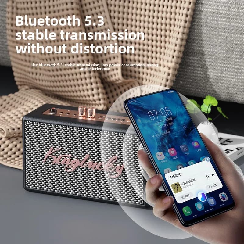 S16 Sistema Karaoke Domestico ad Alta Potenza con Altoparlante Bluetooth, Microfono Integrato e Illuminazione LED RGB - Macchina Karaoke Transfrontaliera