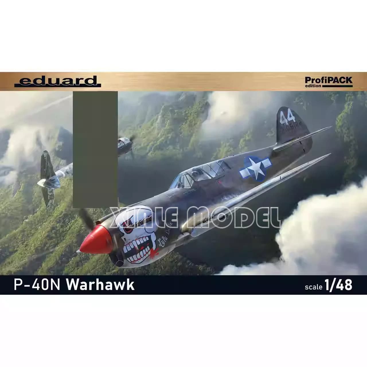 Kit modello di aereo assemblato in plastica Eduard 82242 P-40N Warhawk 1/48