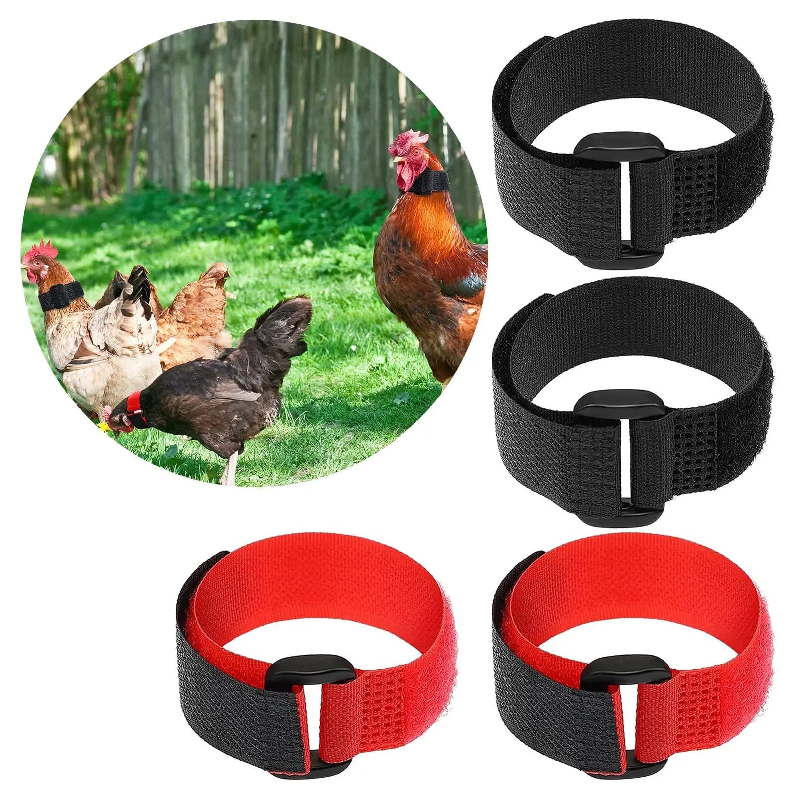 4x Rooster Collar, Chicken Collar Anti-Hook Noise Neckband Noise Neck Belt