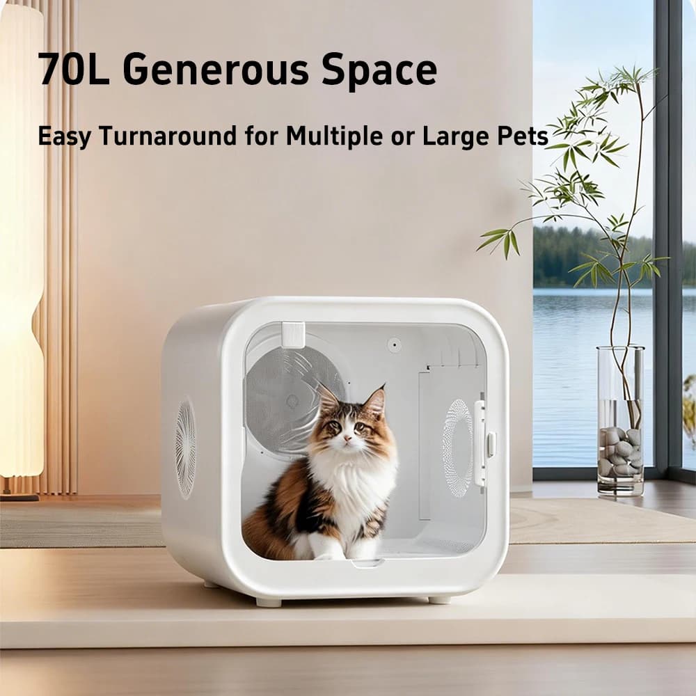 Asciugatrice Automatica per Animali Domestici Ultra Silenziosa con Controllo Intelligente della Temperatura, Fogli Asciuganti per Peli di Animali 360 ° Efficiente per gatti e cani di piccola taglia