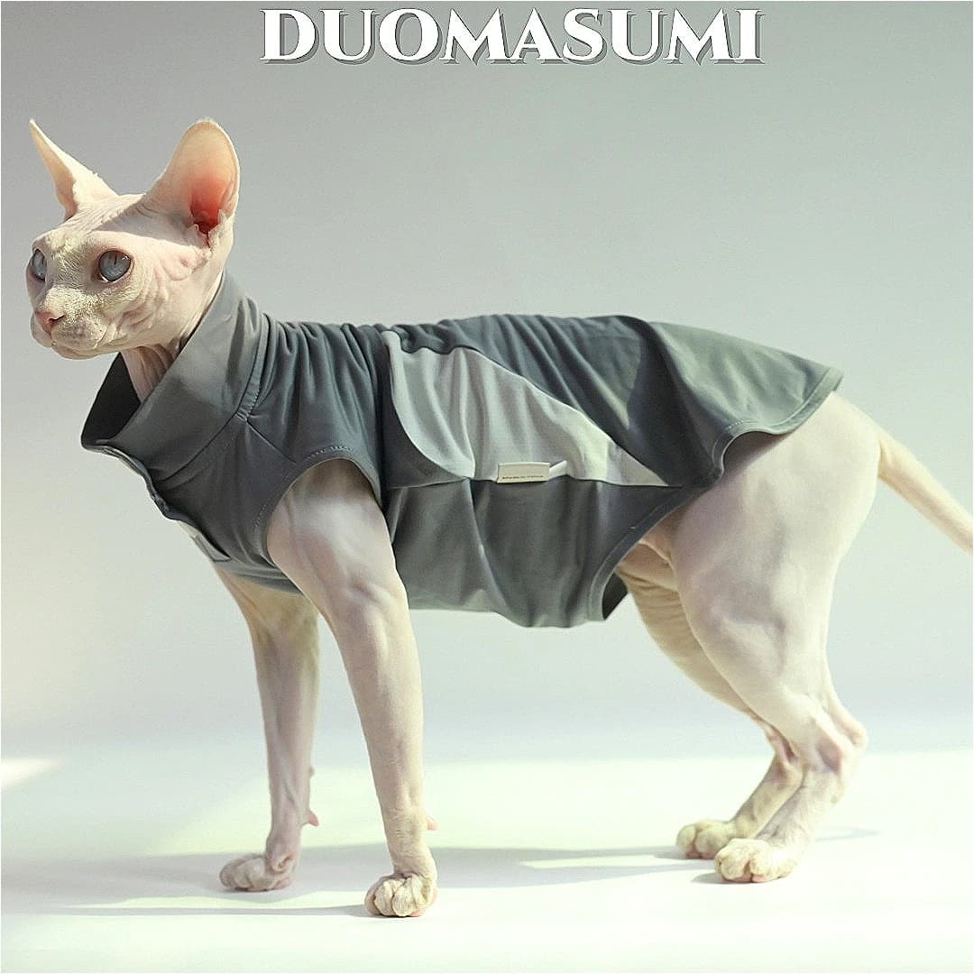 Vestiti sottili con protezione UV traspirante e rinfrescante resistente al sole per gatti Abyssinian Sphynx Devon Rex