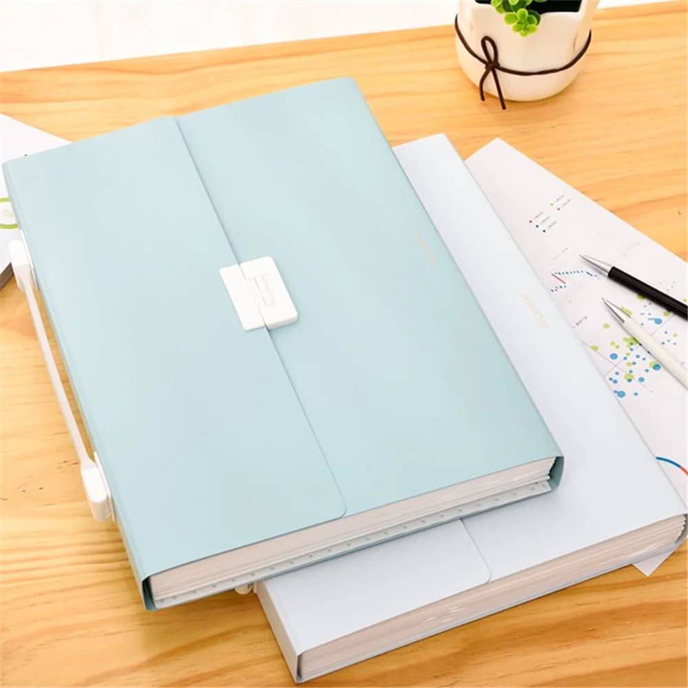 Organizzatore di cartelle di file espandibili per ufficio con fisarmonica a 13 tasche