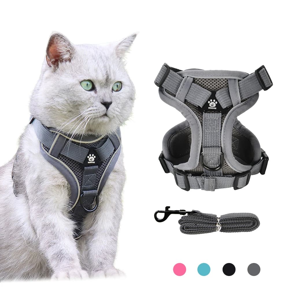 Imbracatura e Guinzaglio per Gatti e Cani Piccoli, Riflettente, Regolabile, per Addestramento e Passeggio, Accessori per Animali Domestici