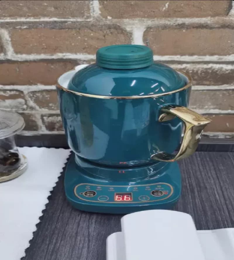 Electric kettle 110 V/220 V Ceramic tea heater Healthcare Overheating protection for Japan USA Canada DW