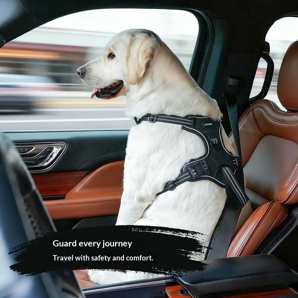Imbracatura di Sicurezza per Cani con Cintura per Auto - Gilet Anti-Salto e Anti-Fuga per Cani di Taglia Media e Grande con Guinzaglio