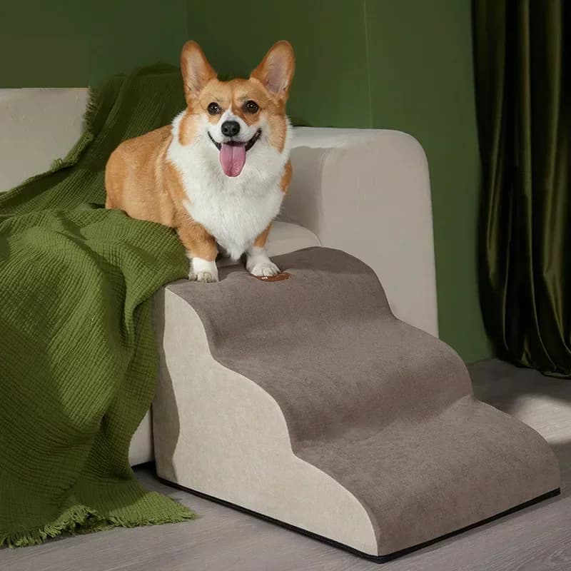 Scale per cani per cani Scale per animali domestici a 3 gradini per cani di piccola taglia Scaletta per animali domestici per gatti Scale per letto per cani rimovibili antiscivolo Forniture per animali domestici