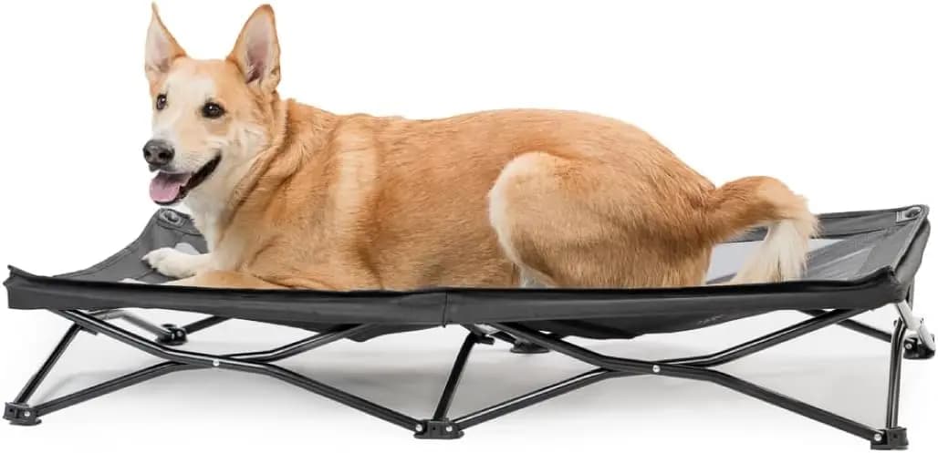Cuccia rialzata per cuccioli - Letto rialzato per animali domestici - Cuccia da esterno per animali domestici - Lettino rialzato per cani - Lettino versatile per cani - Cuccia rialzata per cani di Te