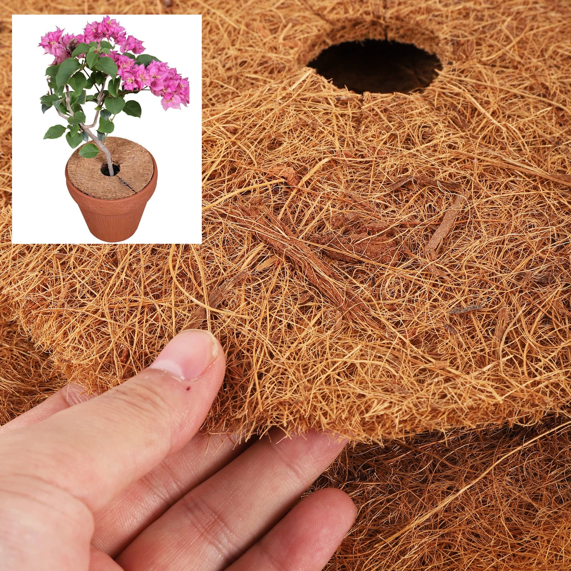 25/30/35/40cm Round Tree Root pacciamatura mat coconut Bonsai Pot Anti-weed Keep Warm soil moisturizing Pad cover