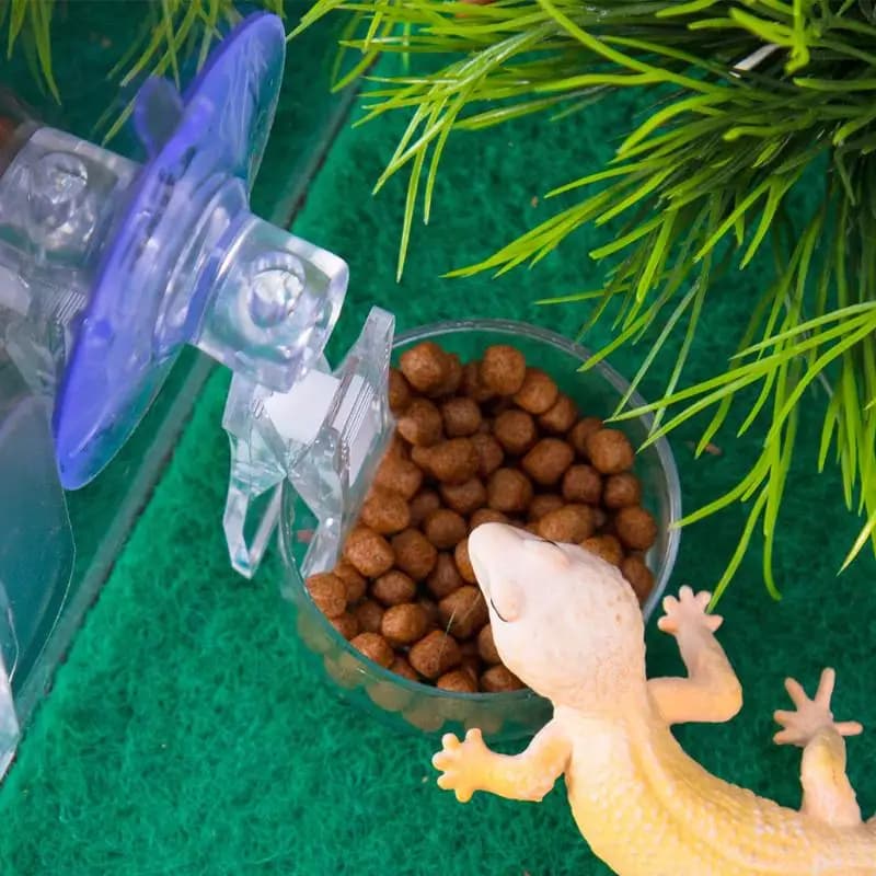 Nuova Ciotola per Acqua e Cibo per Rettili con Ventosa, Vassoio Alimentatore per Geco, Lucertole, Ragni, Rane da Albero, Decorazione Habitat, Accessori per Animali Domestici