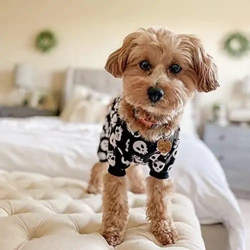 Dog Halloween Pajamas Puppy Onesies Small Dogs Soft Pjs Coat Cat Apparel Comfy Pet Christmas Clothes Outfit Doggie Bodysuit